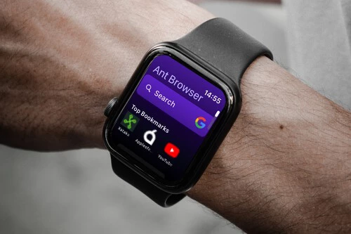 Apple Watch Navegador