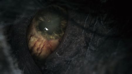 Completar Bloodborne sin subir de nivel o utilizar armas de fuego. ¡Esa sí que es una hazaña!