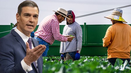 Cada Vez Hay Menos Espanoles Trabajando Pero La Inmigracion Esta Maquillando Las Cifras Esto Sera Un Problema En 30 Anos