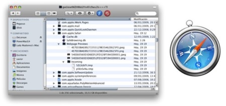 Truco: Libera espacio en disco eliminando las caches de Safari 4 beta