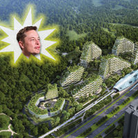 Elon Musk dará luz a toda una megalópolis con el brillo de sus ideas