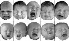 Determinar el dolor de los bebés a través de un software
