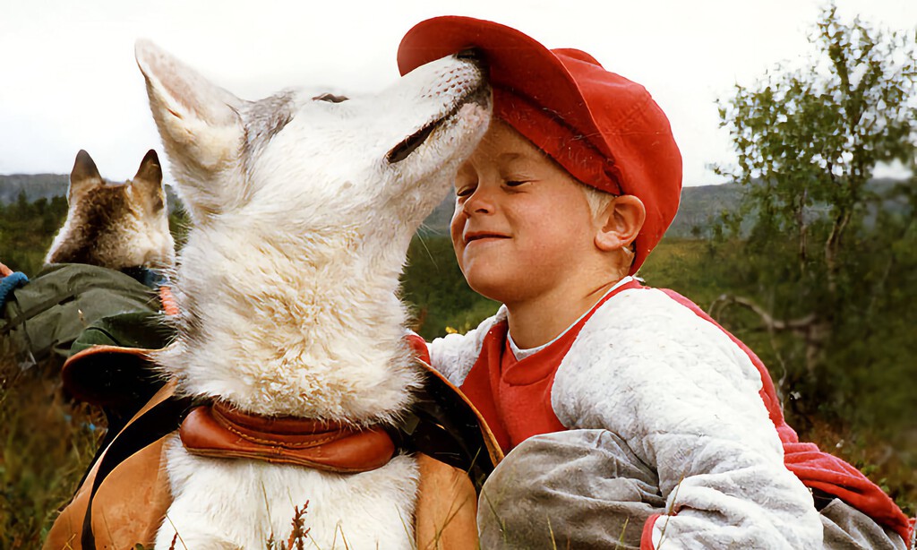 La ciencia ha estudiado durante cuánto tiempo recuerda un perro a su dueño. Estas son sus conclusiones 