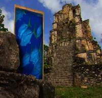 La Riviera Maya y los peligros del crecimiento descontrolado