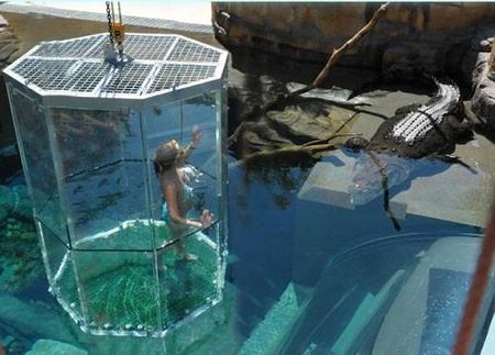 Nadar con cocodrilos en Australia