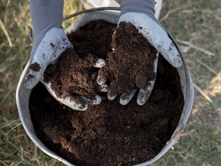 Compost