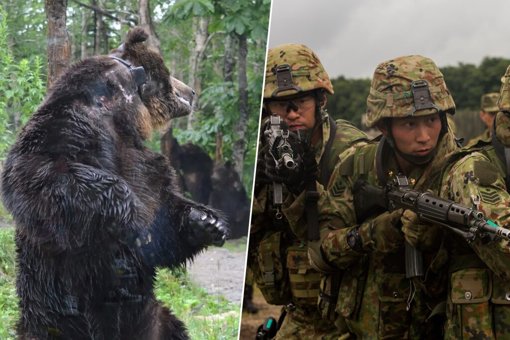 Japón ha dado orden de disparar antes de preguntar. Se busca desalojar a las criaturas que han ocupado el campo despoblado