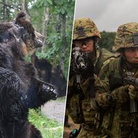 “Hablar en voz alta, silbidos y, cuando todo lo demás falla, una botella de plástico”: los ataques de osos tienen en vilo a Japón