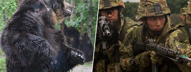 “Hablar en voz alta, silbidos y, cuando todo lo demás falla, una botella de plástico”: los ataques de osos tienen en vilo a Japón