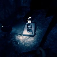 Sons Of The Forest | Cómo conseguir el lanzador de cuerda y el crucifijo, ubicación y recomendaciones