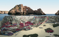Representaciones visuales de sitios de buceo