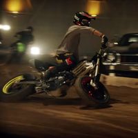 Shakira ficha a Ferrán Cardús para su último videoclip, 'Perro Fiel'