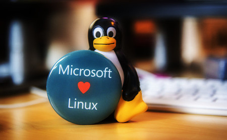 Ms Linux