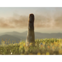 Pesquisadores descobrem nova forma de vida que não se encaixa em nenhuma classificação conhecida até hoje 