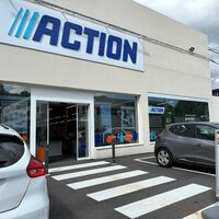 Ya en Action (y rebajada) la solución más económica para acabar con uno de los problemas del otoño en patios y terrazas