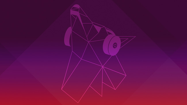 Disco Dingo