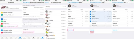 Cómo borrar datos de WhatsApp en iOS