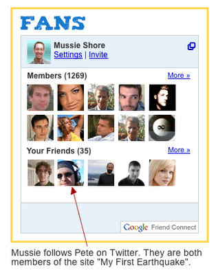 Google Friend Connect con Twitter