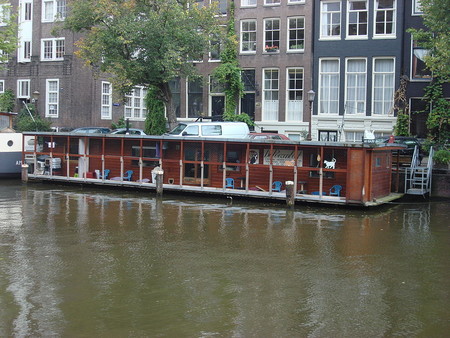 El santuario flotante de gatos que hay en Ámsterdam