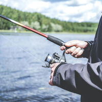 El Gobierno intensifica el control a través del móvil: pronto será obligatorio declarar lo que pescas (y lo que no) con una app