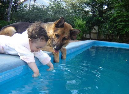 La foto de tu bebé: el perro, el mejor amigo del bebé