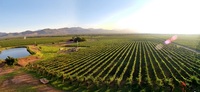 Enoturismo en Latinoamérica: vinos de Venezuela 