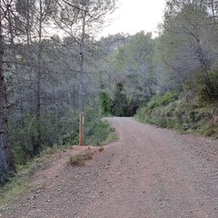 image01
