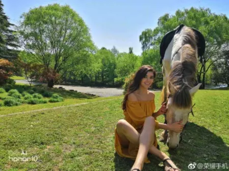 Honor 10 が写真に約束する結果