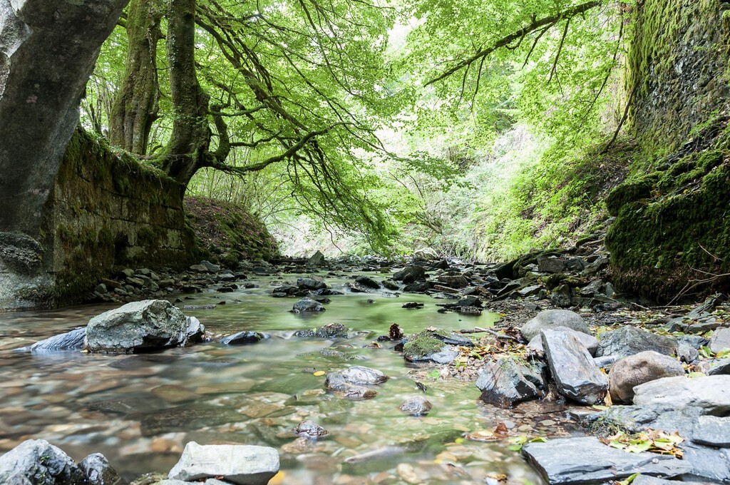 Pamplona tiene plazas para 155 personas sin hogar. Hay gente durmiendo en el cauce de un río y despertando rodeada de agua