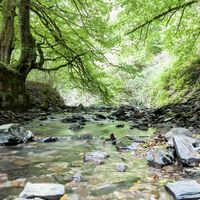 Pamplona tiene plazas para 155 personas sin hogar. Hay gente durmiendo en el cauce de un río y despertando rodeada de agua
