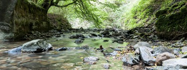 Pamplona tiene plazas para 155 personas sin hogar. Hay gente durmiendo en el cauce de un río y despertando rodeada de agua 