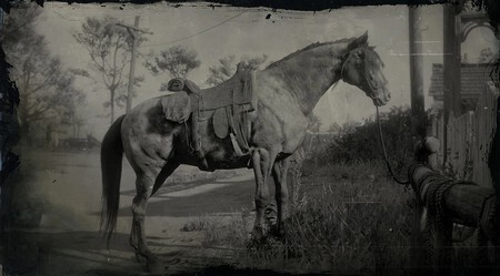 Fox Trotter De Missouri