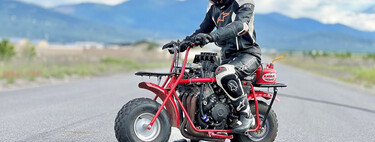 Esto es lo que pasa cuando metes el motor de una Honda CBR1000RR en una minimoto: se convierte en una bestia indomable