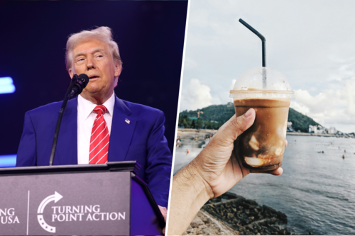 Trumpajita