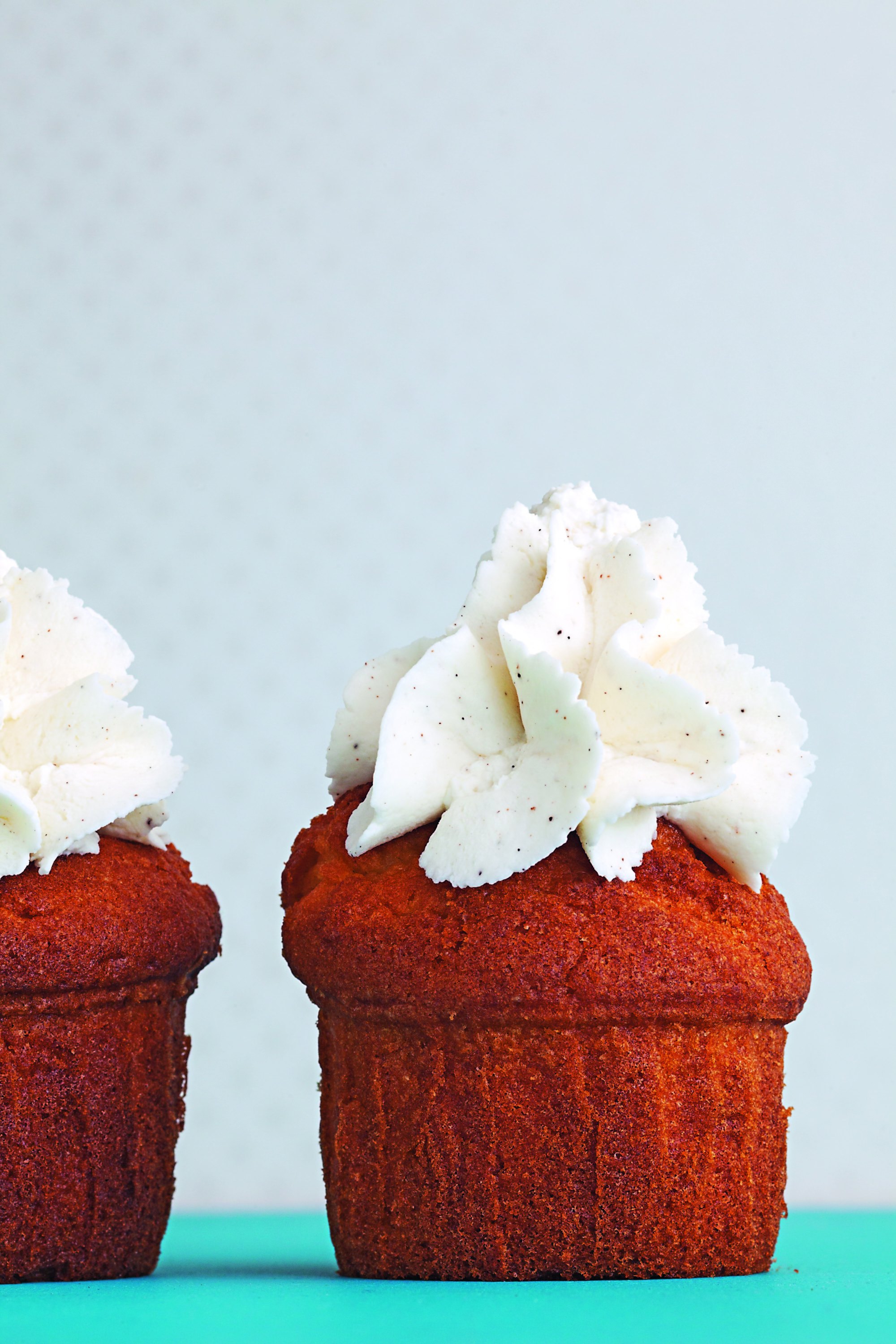 Foto de Libro Yogur Helado (7/8)