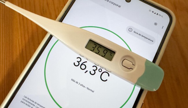 Google Pixel 8 Pro Temperatura