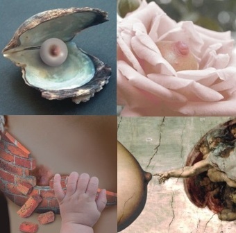 Las lactografías de Ermengol