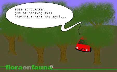 fauna en ruta: bosques en la carretera