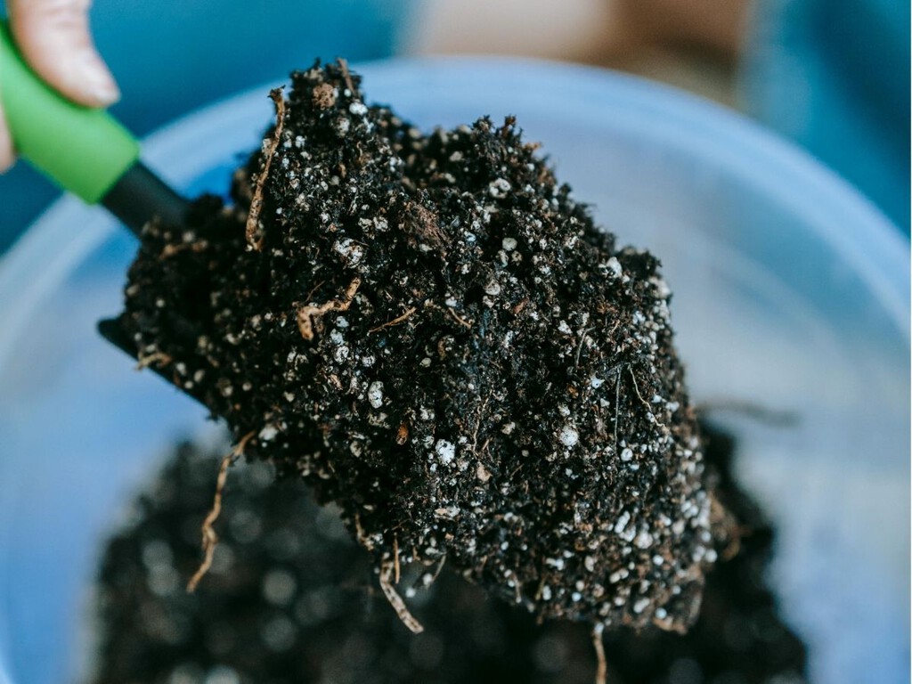 Tres claves para reutilizar la tierra de tus macetas: es posible hacerlo, pero no siempre 