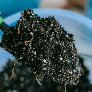 Tres claves para reutilizar la tierra de tus macetas: es posible hacerlo, pero no siempre 