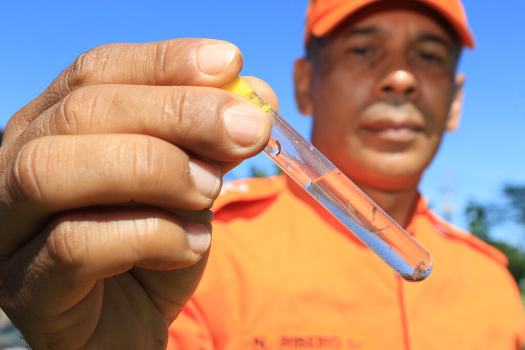 Argentina sufre el peor brote de dengue de su historia: es un adelanto del gran problema de salud pública del siglo XXI 