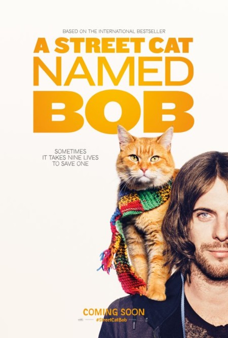  A Street Cat Named Bob Tr iler Y Cartel De La Pel cula Sobre El 