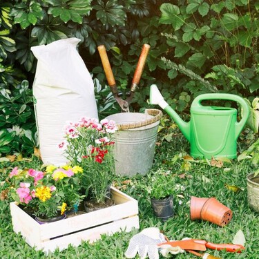 Estos son los turcos de jardinería para que las plantas sobrevivan al calor y la lluvia durante agosto