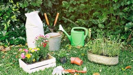 Estos son los turcos de jardinería para que las plantas sobrevivan al calor y la lluvia durante agosto
