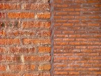 La juventud y el tocho