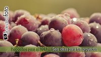 Propósitos para el 2012... Seis ideas para tus proyectos