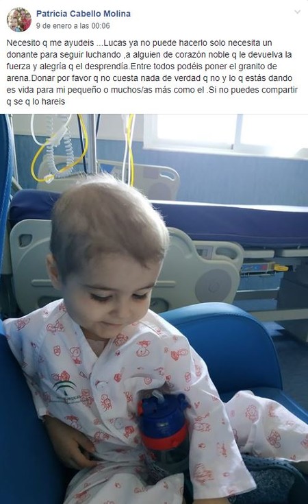 donación de médula