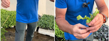 Ángel Illescas, experto en plantas: "Si quieres un huerto en casa para el otoño, esto es lo que hay que plantar a partir del 15 de agosto" 