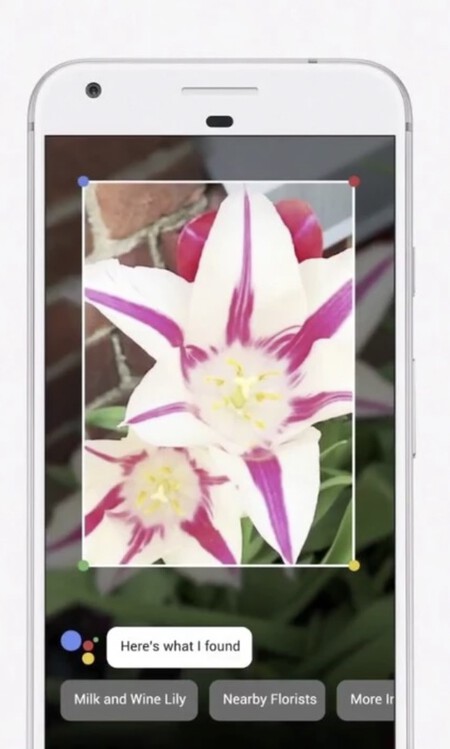 Captura De Pantalla 2023 03 02 A Las 8 57 18