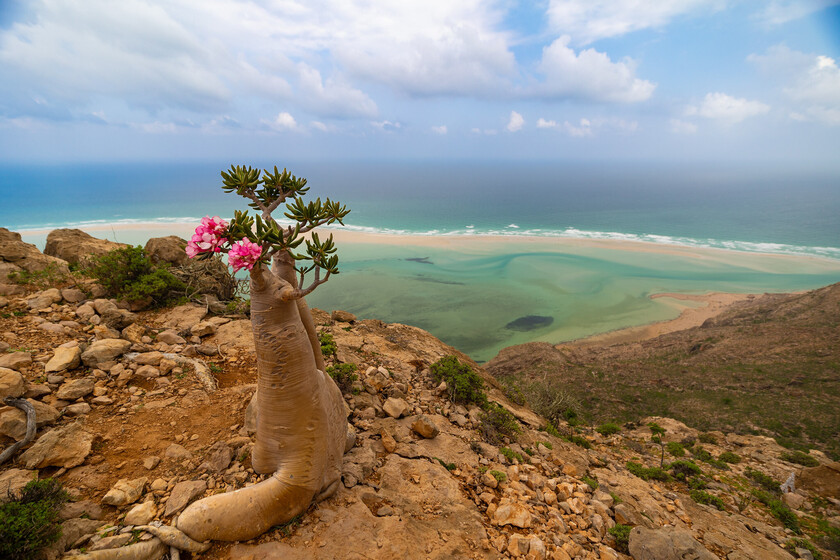 Yemen es uno de los lugares más peligrosos del planeta. Y pese a ello hay turistas españoles viajando a una de sus islas